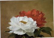 unknow artist Still life floral, all kinds of reality flowers oil painting 34 painting
